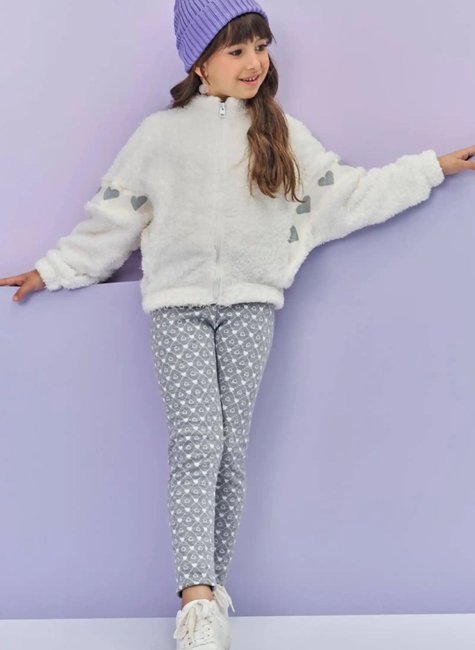 80387 modelo c01 s3 t1