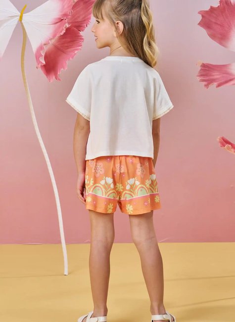 82933 modelo c01 s2 t1